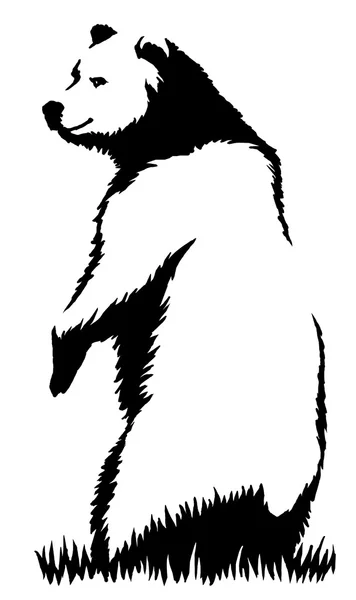 Черно-белыми чернилами рисовать медведя Иллюстрация Лицензионные Стоковые Фото