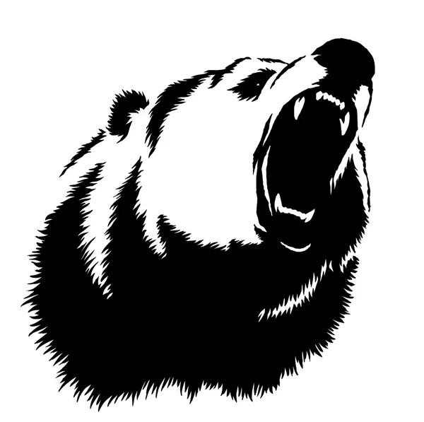 Черно-белыми чернилами рисовать медведя Иллюстрация Лицензионные Стоковые Изображения