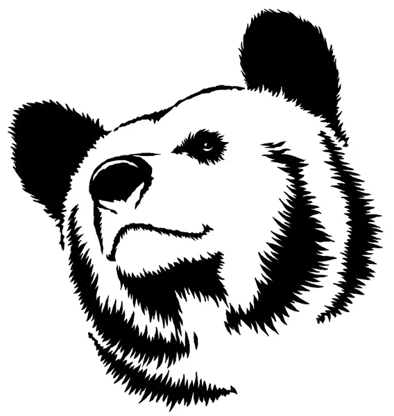 Черно-белыми чернилами рисовать медведя Иллюстрация Стоковое Изображение