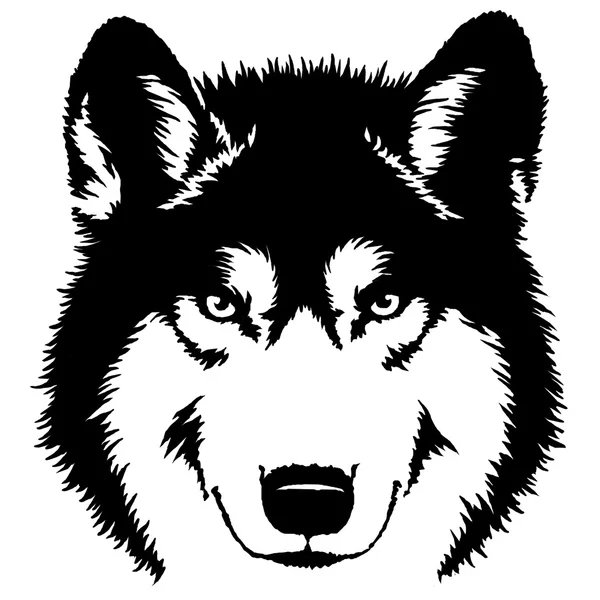 Черно-белой краской нарисуйте волк иллюстрации Лицензионные Стоковые Изображения