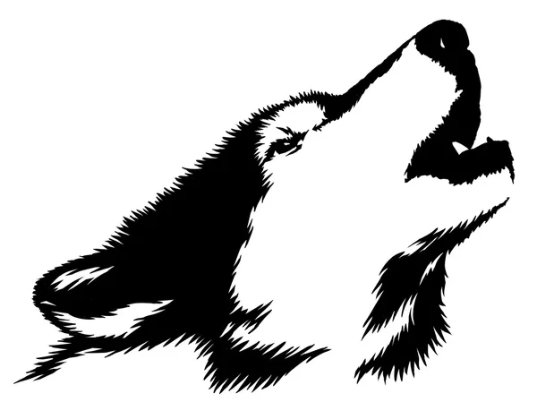 Черно-белой краской нарисуйте волк иллюстрации Стоковое Фото