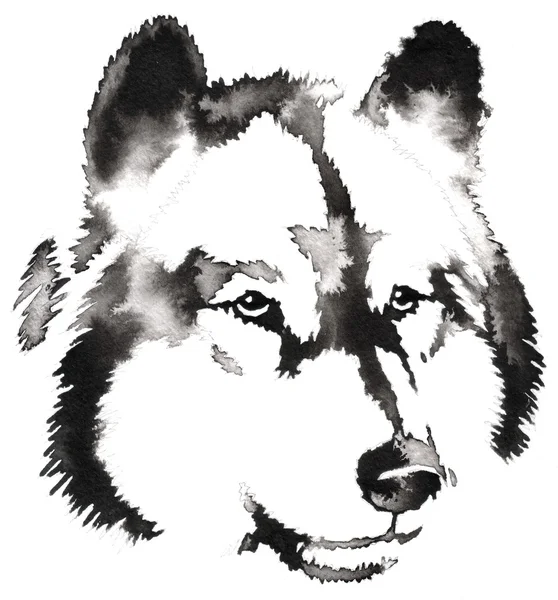 Черно-белые монохромной живописи с водой и чернила рисовать иллюстрации волк Стоковая Картинка