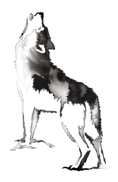 Черно-белые монохромной живописи с водой и чернила рисовать иллюстрации волк Лицензионные Стоковые Фото