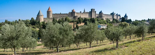 Оливковое поле с башни древнего города — стоковое фото