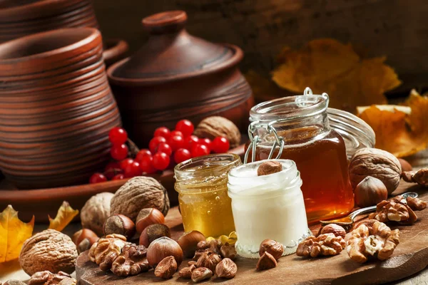 Три вида меда с грецкими орехами и фундуком — стоковое фото