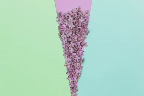 Треугольник сиреневые цветы — стоковое фото