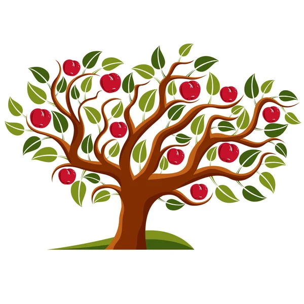 Дерево с спелые яблоки — стоковый вектор