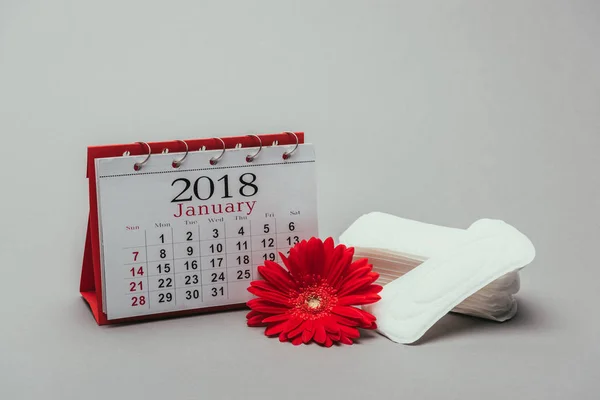 Крупным Планом Вид Календаря Цветок Менструальные Колодки Изолированные Серый — стоковое фото
