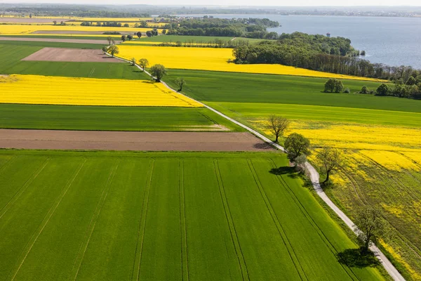 Урожай поля в Польше — стоковое фото