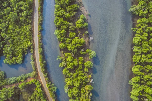 Река с тропических лесов на его берегах Гоа — стоковое фото