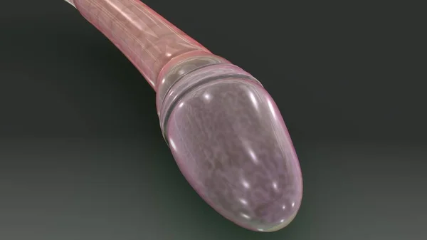 3D Иллюстрация спермы — стоковое фото