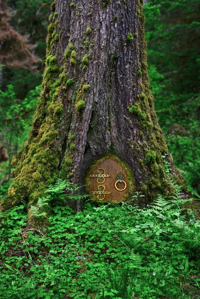 Крупным планом дерево в лесу с дверью фея — стоковое фото