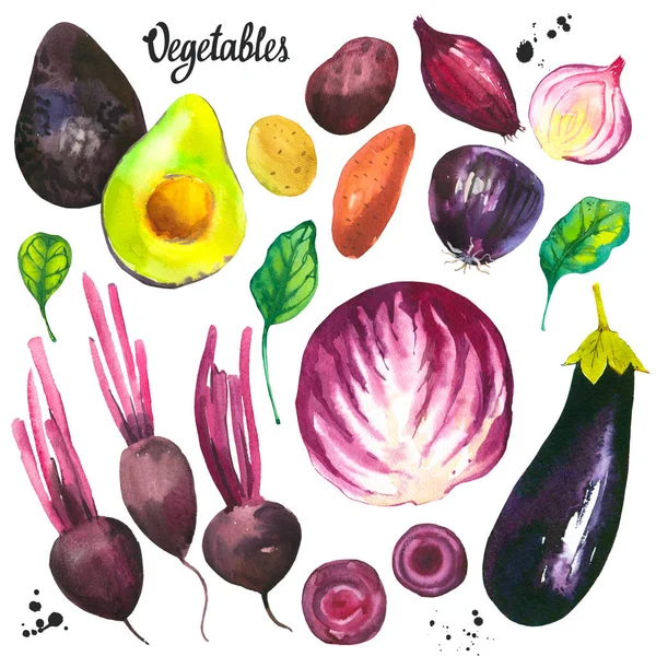 Акварельные иллюстрации с фермы выращенных продуктов. Набор овощей: авокадо, лук, картофель, свекла, баклажаны, капуста, шпинат. Свежие органические продукты. Фиолетовый — стоковое фото
