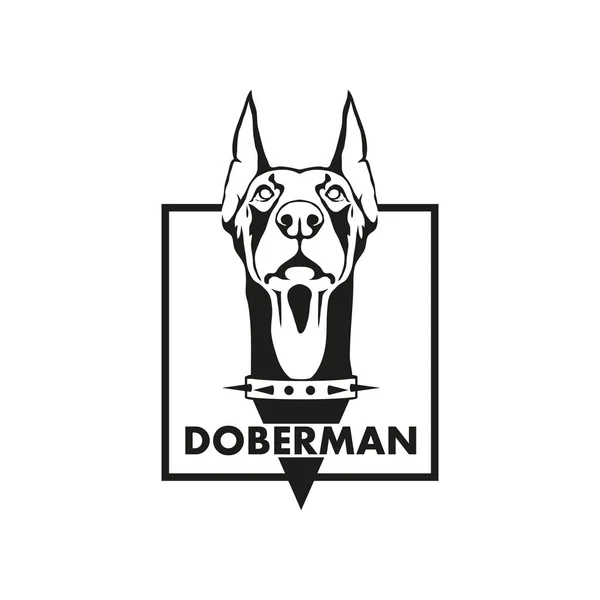 Доберман в квадратный логотип — стоковый вектор