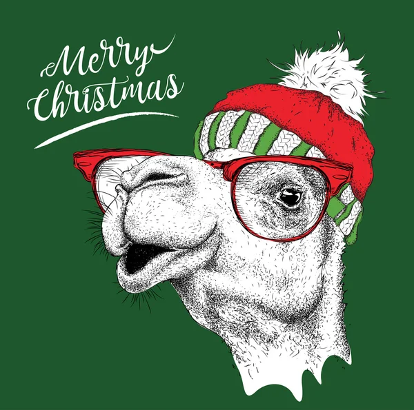 Рождественская открытка с верблюдом в зимней шапке. Счастливого Рождества надписи дизайн. Векторная иллюстрация — стоковый вектор