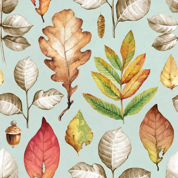 Иллюстрации из осенних листьев — стоковое фото