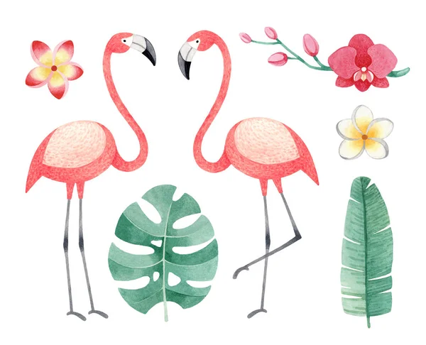 Акварельные Иллюстрации Фламинго Тропические Цветы Листья Стоковое Изображение
