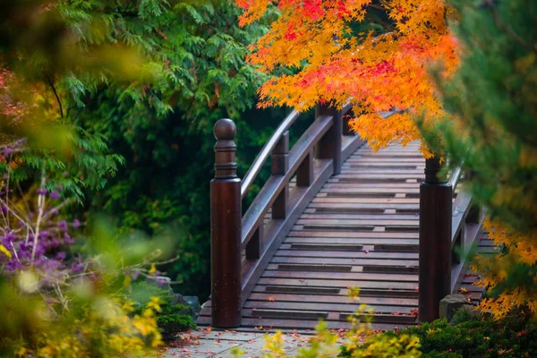 Деревянный мост в японском саду — стоковое фото