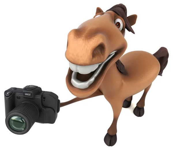 Лошадь холдинг камеры Стоковое Изображение