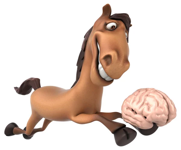 Мозг лошади Холдинг Стоковое Изображение