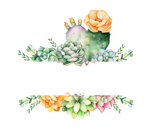 Красочная цветочная рамка с листьями, суккулентных растений — стоковое фото