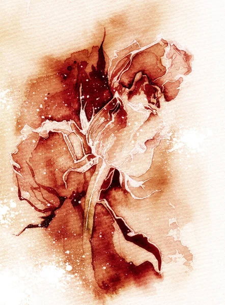 Акварель Быстро Выразительный Эскиз Нежные Розы Фоне Окрашенных — стоковое фото