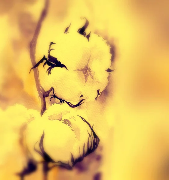 Акварель Быстро Выразительный Эскиз Нежные Цветы Хлопок Размытие Фона — стоковое фото