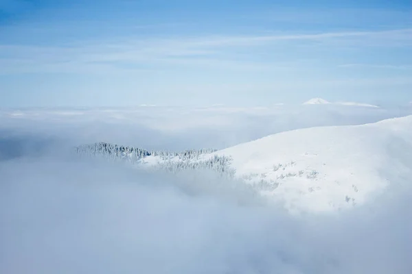 Туман Лицензионные Стоковые Изображения