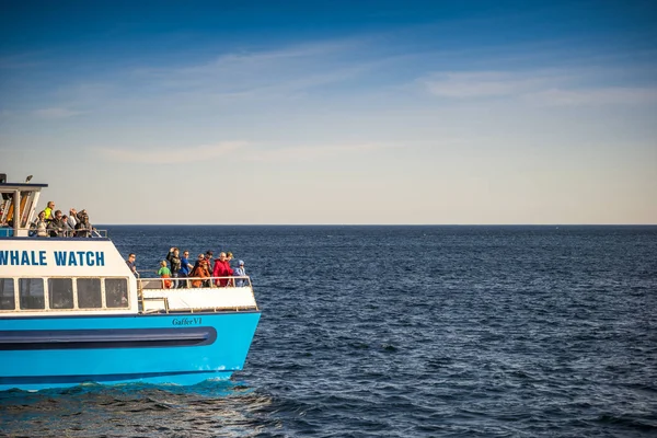 Туристы на лодке, ожидая китов в Ньюфаундленд, Канада Лицензионные Стоковые Фото