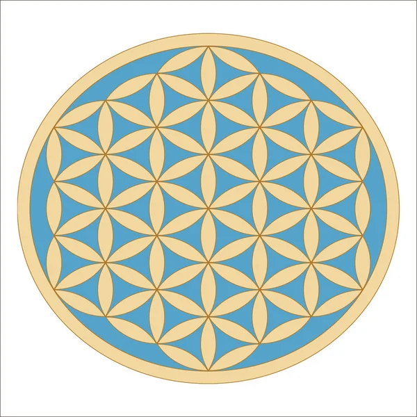 Сакральной геометрии. Древний символ Золотой цветок жизни на бирюзовом фоне. Цветок с шестью лепестками. Древний символ семя жизни — стоковый вектор