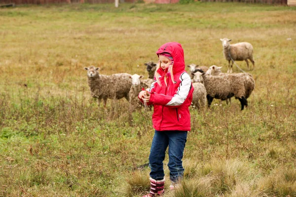 Детские Девочка пастушка доволен стадо овец Лицензионные Стоковые Фото