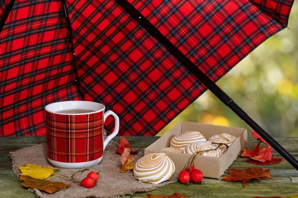 Чашкой чая на столе под зонтиком Стоковое Изображение