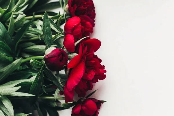 Цветочная Открытка Ряда Красивые Красные Пионы Белом Фоне Деревянные Вид — стоковое фото