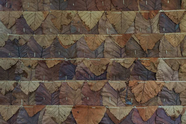 Коттедж с соломенными крышами фон и текстура — стоковое фото