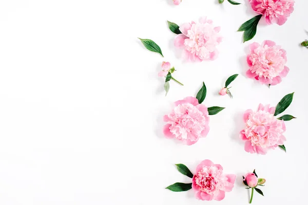 Цветочный узор Розовый пион цветы — стоковое фото