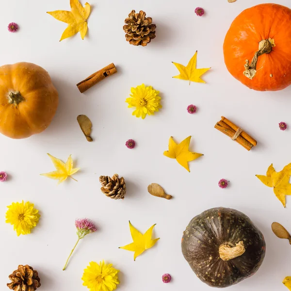 Красочный Осенний узор из тыквы, листья и цветы Лицензионные Стоковые Фото