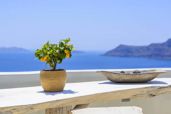 Мандарин дерева в старый глиняный горшок, на фоне синего моря. Лимонное дерево на белый деревянный стол на фоне вулкан острова Санторини. Концепция путешествия — стоковое фото