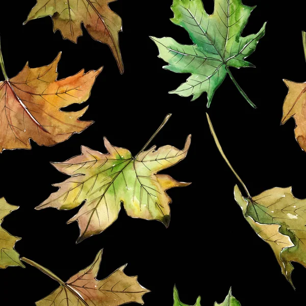 Кленовые листья шаблон в стиле акварели — стоковое фото