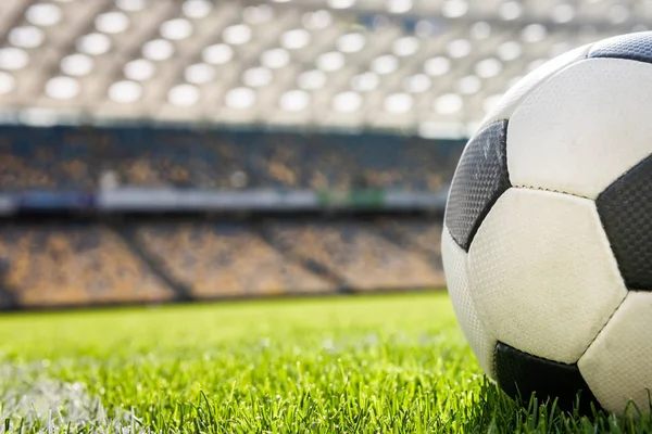 Футбольный мяч на траве Стоковая Картинка