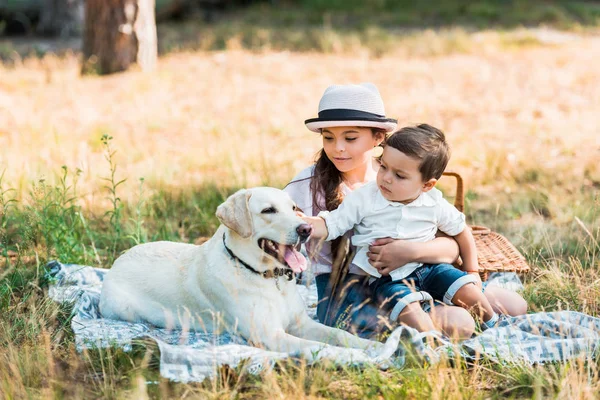 Brother Sister Sitting Blanket Labrador Dog — стоковое фото