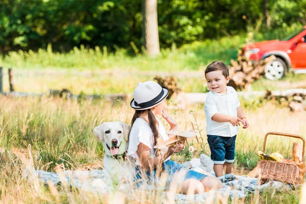 Happy Brother Sister Playing Picnic — стоковое фото