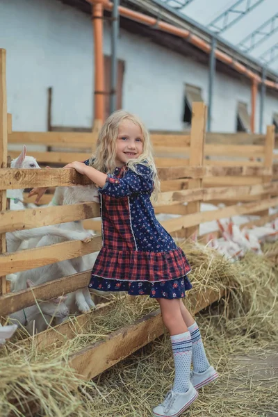Smiling Kid Touching Goats Stable Farm — стоковое фото