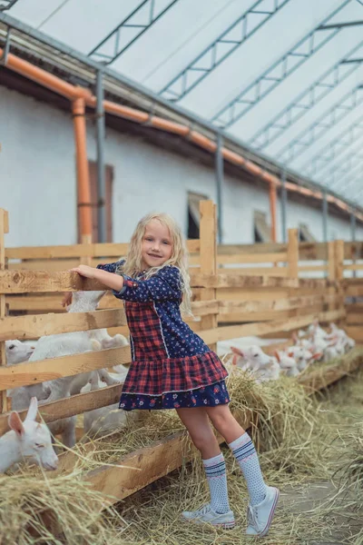 Smiling Kid Standing Farm Goats — стоковое фото