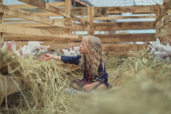 Smiling Kid Touching Goats Fence Stable — стоковое фото