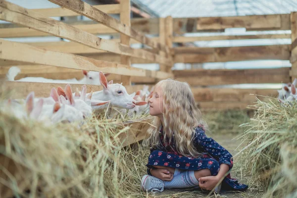 Side View Child Going Kiss Goat Farm — стоковое фото