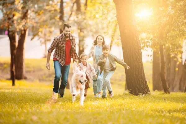 Front View Smiling Couple Children Running Golden Retriever Park — стоковое фото