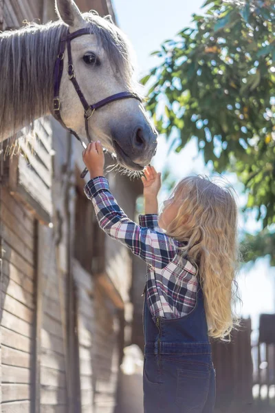 Side View Kid Reaching Hands White Horse Farm — стоковое фото