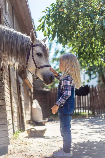 Side View Kid Touching White Horse Farm — стоковое фото