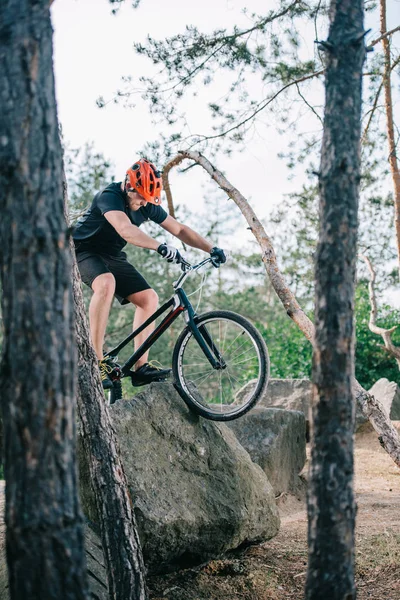 Extreme Young Trial Biker Climbing Rock Pine Forest Стоковая Картинка