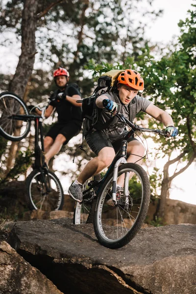 Young Trial Bikers Riding Rocks Pine Forest Стоковое Изображение